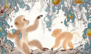 如沐春风打一个生肖