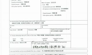 意大利签证状态查询